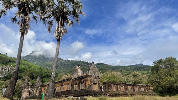 Die alten Ruinen des Wat Phou © NDR Foto: Dennis Burk