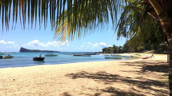 Ein Palmenstrand mit blauem Wasser und Booten - Idylle auf Mauritius © NDR Foto: Steffen Schneider