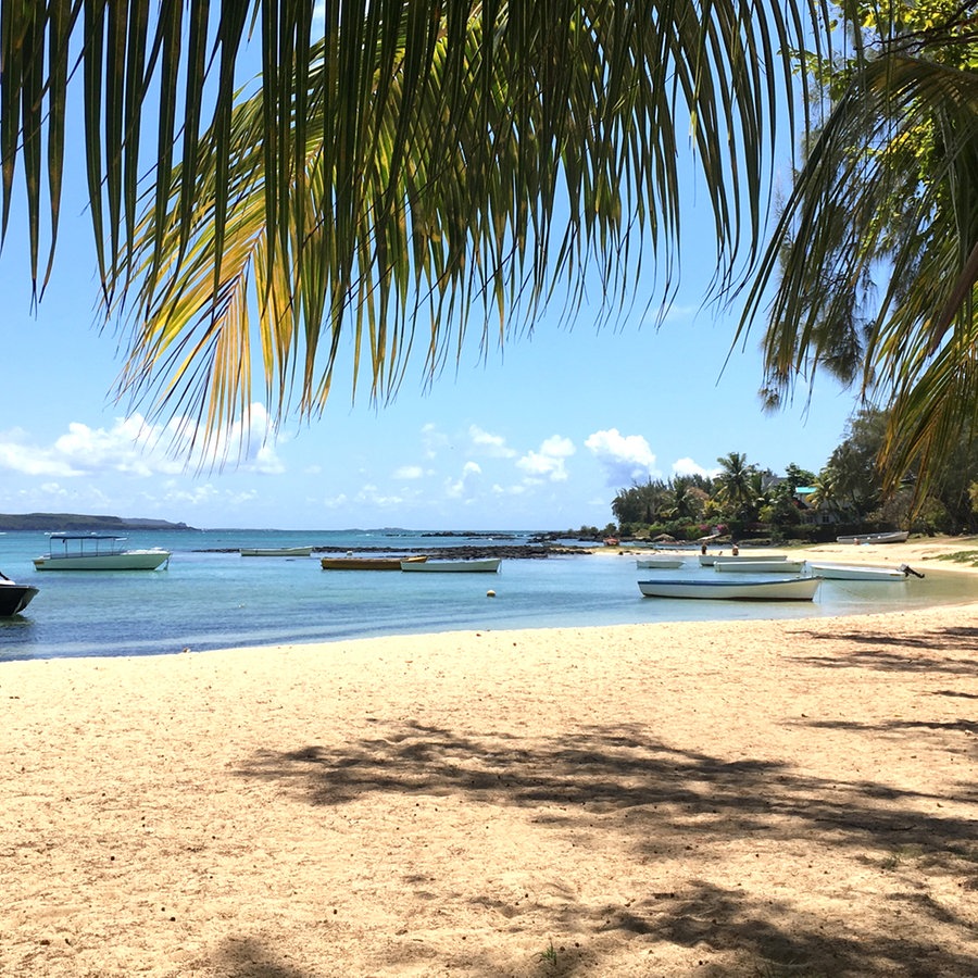 Ein Palmenstrand mit blauem Wasser und Booten - Idylle auf Mauritius © NDR Foto: Steffen Schneider
