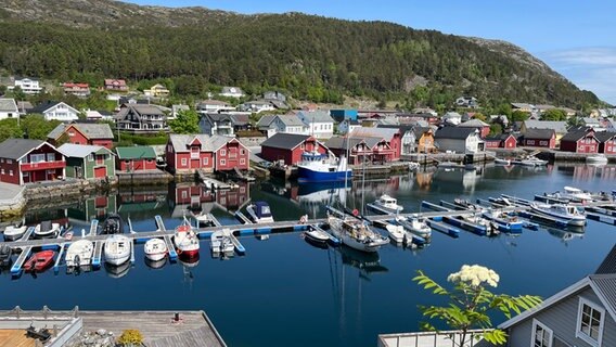 Holzhäuser vor der Küsten von Norwegen, davor Bootstege mit Schiffen © NDR Foto: Carsten Vick