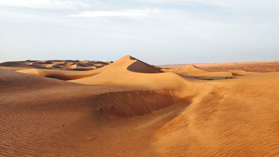 Eine Sanddüne (Sharqiya Sands) in der Wüste im Oman © NDR Foto: Isa Hoffinger