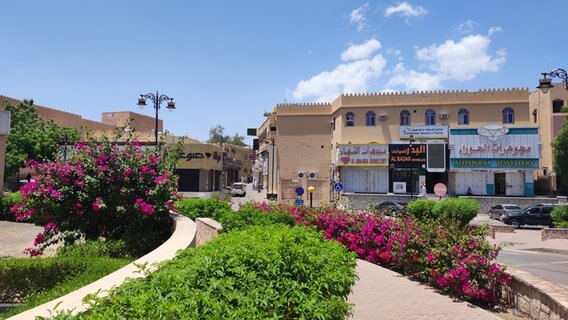 Eine Oasenstadt in Oman: Nizwa © NDR Foto: Isa Hoffinger