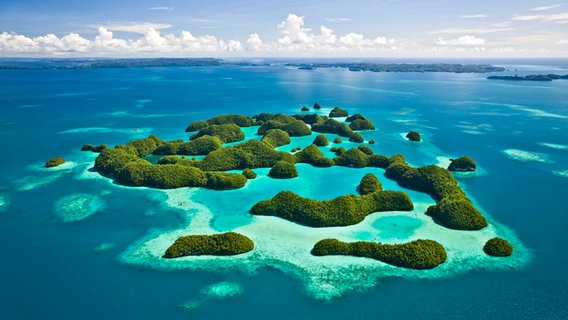 Ein Luftbild von Inseln von Palau © picture alliance / Photoshot 