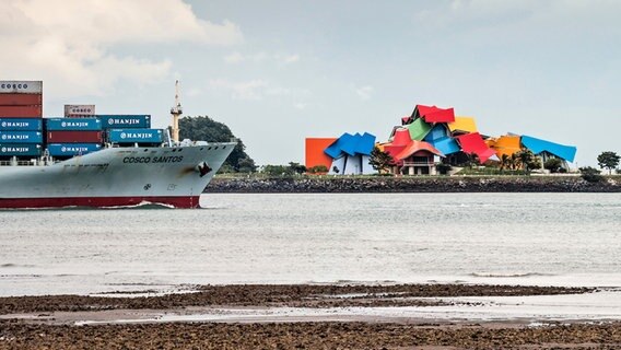 Das von Frank Gehry entworfene Museo de la Biodiversidad am Panamakanal mit Containerschiffen © NDR Foto: Michael Marek