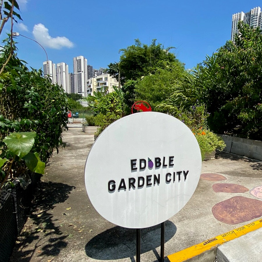 Ein Projekt von einer Farm auf einem Hochhaus in Singapur namens "Edible Garten City" © NDR Foto: Michael Marek
