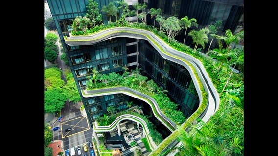 Ein begrüntes Hochhaus (aus Vogelperspektive) in Singapur. Ein begrüntes Hochhaus (aus Vogelperspektive) in Singapur. © NDR Foto: Michael Marek