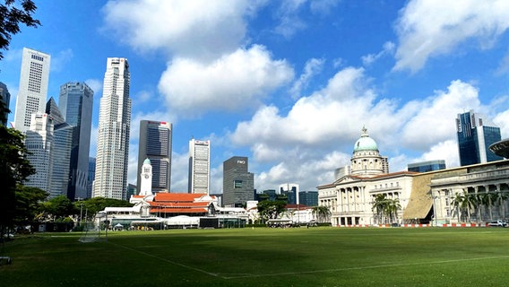Die Skyline der Metropole Singapur mit einem Park im Vordergrund © NDR Foto: Michael Marek