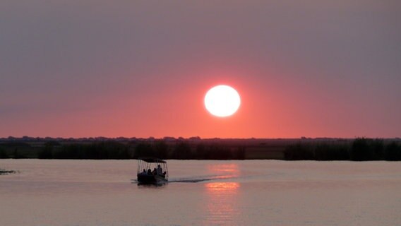 Rovos - Chobe Nationalpark im Sonnenuntergang © NDR Foto: Sven Weniger