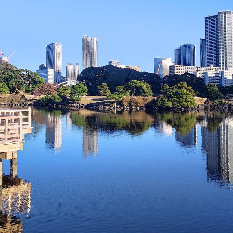 Ein Park spiegelt sich im Wasser in Tokyo, dahinter ist die Skyline der Stadt zu sehen © NDR Foto: Isa Hoffinger