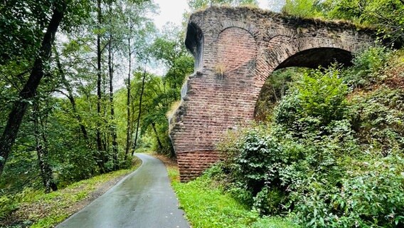 Ein altes Viadukt aus Ziegeln ist abgebrochen und überwuchert und steht neben dem Vennbahn-Radweg © NDR Foto: Astrid Corall