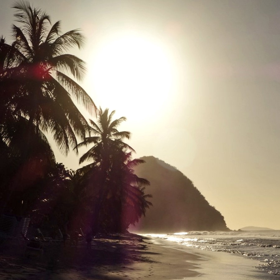 Ein Palmenstrand auf den Jungferninsel bei Abendstimmung - im Hintergrund ist im Gegenlicht der untergehenden Sonne ein dunkler Hügel zu erkennen © NDR Foto: Steffen Schneider