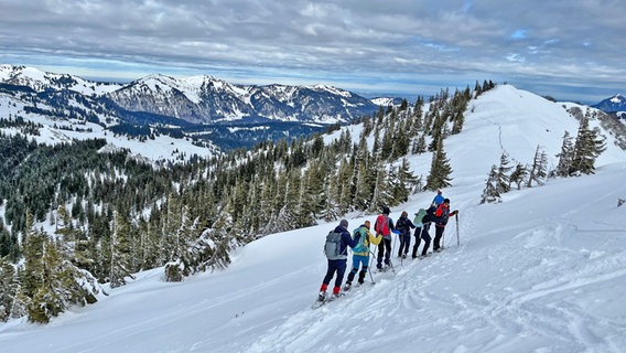 Eine Gruppe von Menschen im Allgäu in den Alpen ist Schneeschuhwandern © NDR Foto: Carsten Vick