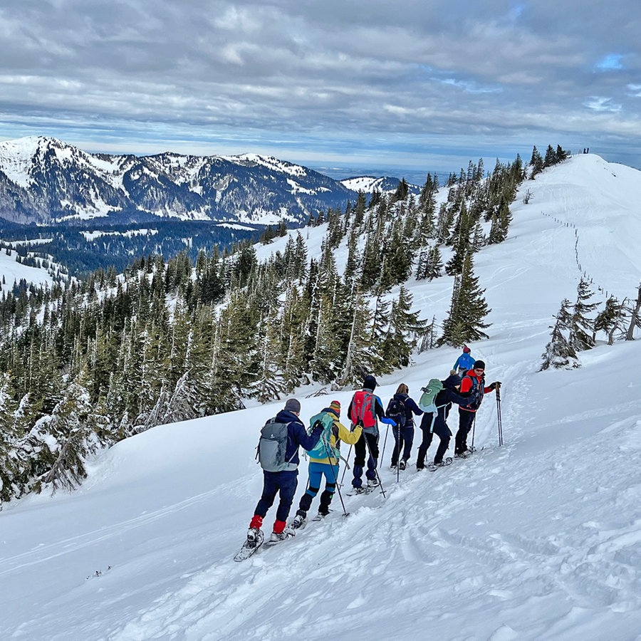 Eine Gruppe von Menschen im Allgäu in den Alpen ist Schneeschuhwandern © NDR Foto: Carsten Vick