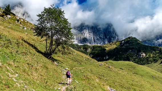 Die lauschige Tiroler Landschaft mit Obstbäumen, Wiesen und wolkenbehangenen Bergen am Wilden Kaiser in Österreich © NDR Foto: Alexander Tempel