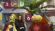Szene aus einer Sesamstraßenfolge: Eine Frau und zwei Monster unterhalten sich (Screenshot).  