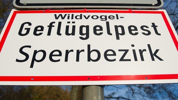 Schild mit der Aufschrift "Geflügelpest Sperrbezirk" © dpa-Bildfunk 
