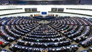 Abgeordnete des Europäischen Parlaments sitzen während einer Abstimmungssitzung im Plenarsaal des Europäischen Parlaments in Straßburg. © dpa Foto: Philipp von Ditfurth