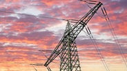 Ein Strommast vor einem Sonnenuntergang © picture alliance / CHROMORANGE Foto: Michael Bihlmayer