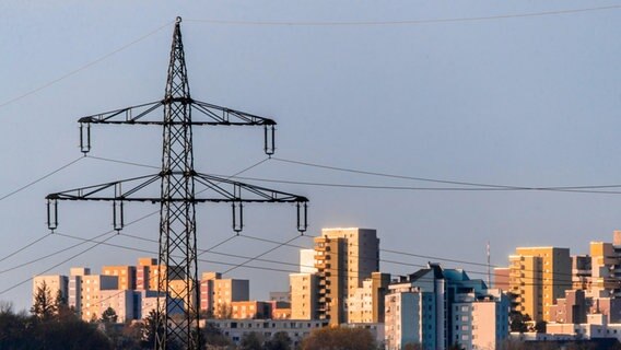 Ein Strommast steht vor Wohnhäusern © dpa Foto: Christoph Schmidt