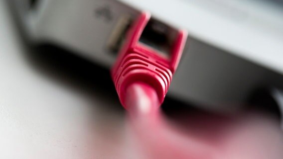 Ein magentafarbenes Netzwerkkabel der Telekom steckt in einem Notebook. © dpa-Bildfunk Foto:  Rolf Vennenbernd, dpa