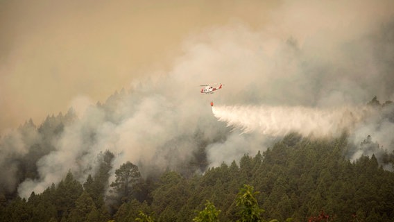 Hubschrauber im Einsatz gegen den Waldbrand auf der Kanaren-Insel Teneriffa © Arturo Rodriguez/AP Foto: Arturo Rodriguez/AP
