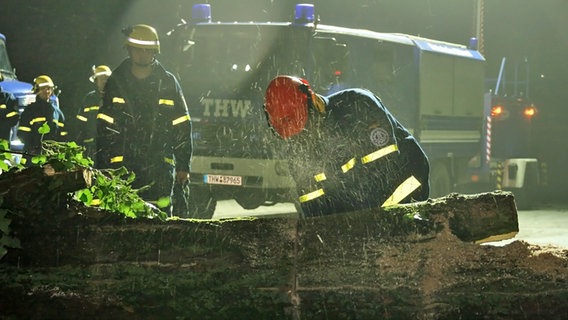 THW-Einsatzkräfte zersägen einen umgestürzten Baum auf der Straße. © THW 