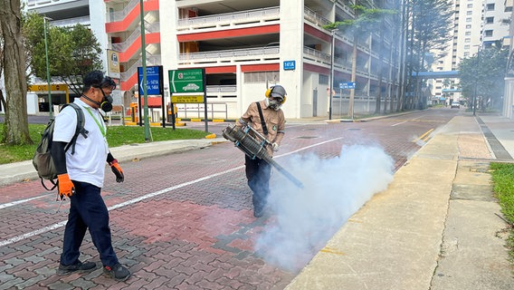 Fogging (Besprühen mit Insektiziden) durch Facharbeiter der Pest-Control auf einer Straße in Singapur. © ARD Foto: Jennifer Johnston