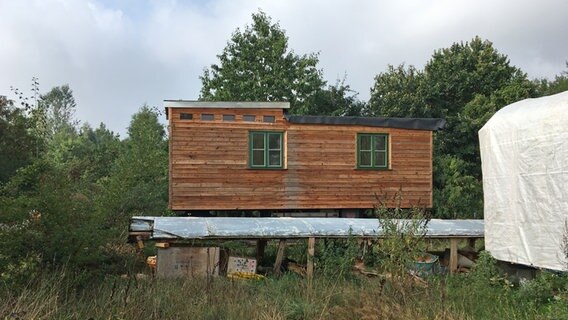 Ein Tiny House steht auf dem Gelände der Organisation "Wir bauen Zukunft" umgeben von Bäumen. © NDR Foto: Marc Hoffmann