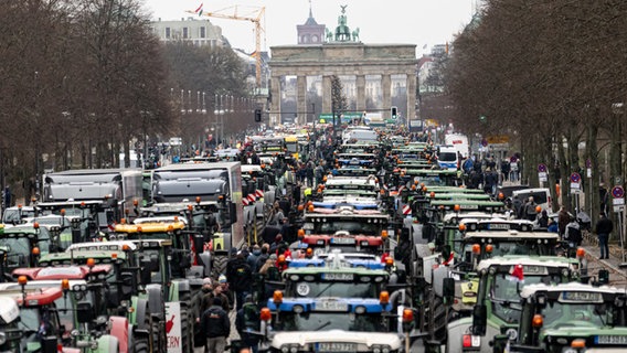Bei einer Protestkundgebung vor dem Brandenburger Tor in Berlin stehen viele Traktoren. © Fabian Sommer/dpa 