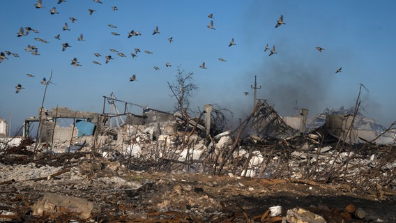 Vögel fliegen über den Rauch, der aus den Ruinen eines Bauernhofs und eines noch brennenden Getreidespeichers im ukrainischen Kiseliovka aufsteigt, nach einem russischen Raketenangriff. © Efrem Lukatsky/AP/dpa Foto: Efrem Lukatsky