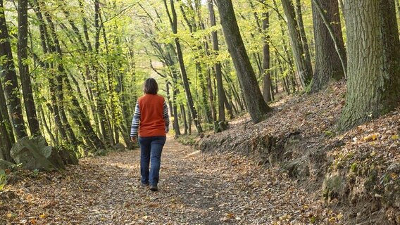 Eine Spaziergängerin geht auf einem Waldweg. © dpa picture alliance/chromorange Foto: Weingartner