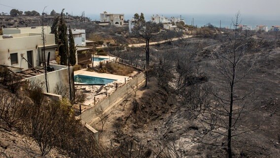 Verbrannte Bäume neben einem Hotel nahe des Dorfes Kiotari auf Rhodos © Socrates Baltagiannis/dpa 