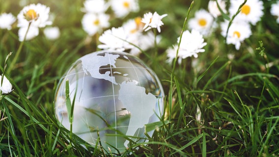 Eine Weltkugel aus Glas liegt in grünem Gras. © picture alliance / CHROMORANGE | Michael Bihlmayer 