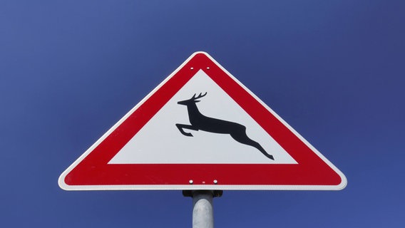 Warnschild Wildwechsel © picture alliance / blickwinkel Foto: R. Linke