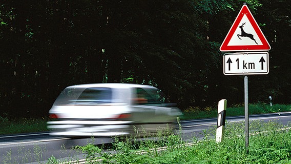 Warnschild Wildwechsel Warnschild Wildwechsel © picture alliance Foto: Michael Breuer