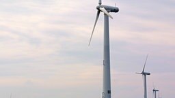 Der Offshore-Windpark vor der dänischen Insel Lolland im Großen Belt © dpa Foto: Ingo Wagner