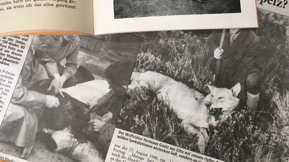 Bilder in einem Zeitungsartikel aus der Nachkriegszeit zeigen einen erlegten Wolf. © NDR Foto: Marc Hoffman