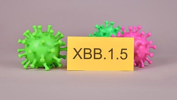 Neue XBB.1.5 Omikron Subvarianten-Virus als Kunsttoff-Modell und als Aufschrift auf einer Papierkarte, © picture alliance / Zoonar Foto: Firn