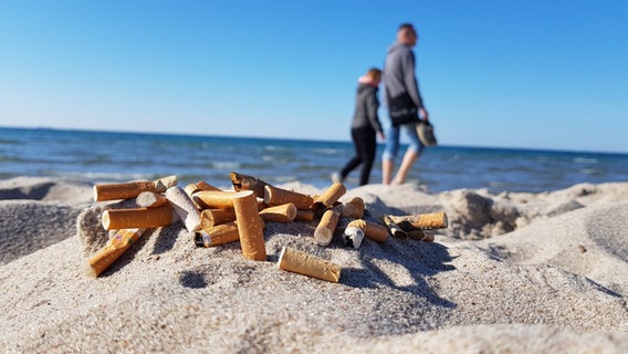 Zigarettenkippen am Strand © NDR Foto: Michael Klingemann, NDR