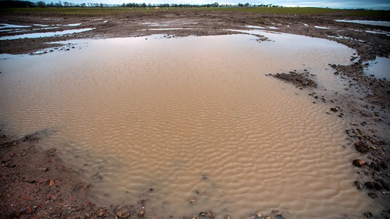 Große Wasserflächen sind auf einem erst teilweise abgeernteten Feld bei Kaeselow zu sehen. © dpa-Bildfunk Foto: Jens Büttner