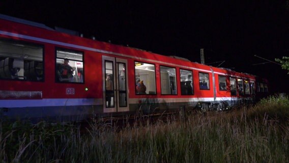 Ein Zug auf der Strecke Ludwigslust-Schwerin © Rald Drefin 