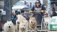 Prominente Teilnehmer kämpfen beim Schlittenhunderennen "Baltic Lights" am 10.03.2018 auf Usedom um eine gute Zeit und um möglichst viele Spenden zu Gunsten der Welthungerhilfe. © dpa Bildfunk Foto: Stefan Sauer