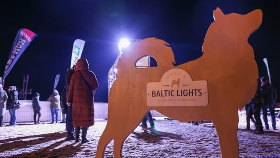 Heringsdorf auf Usedom: Holzaufsteller in Hundeform mit einem Schild von "Baltic Lights". © dpa Foto: Gerald Matzka