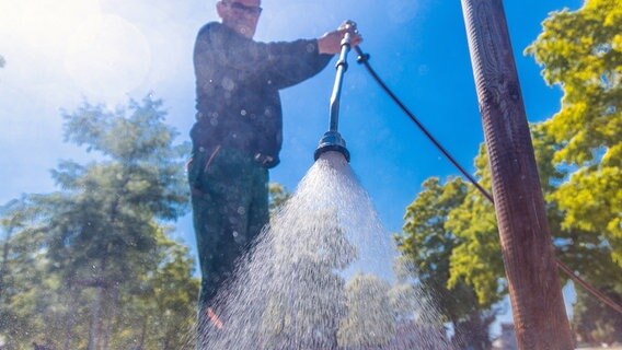 Schwerin: Frank Helms vom Unternehmen Green and Clean begießt im Auftrag der Stadt Jungbäume in einer Grünanlage im Stadtzentrum. © dpa-Bildfunk Foto: Jens Büttner