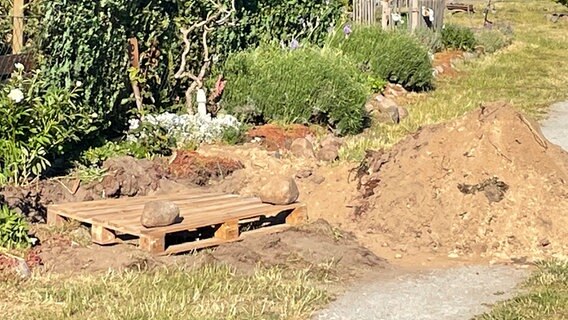 Auf einem Privatgrundstück liegt eine mit Steinen beschwerte Palette neben einem Sandhaufen. Links im Hintergrund eine Hecke, darüber das rote Ziegeldach eines Wohnhauses. © NDR Foto: Peter Schmidt