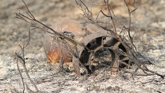 Ausgebrannte Bombe in einer Heidelandschaft © Michael Brockmüller Foto: Michael Brockmüller