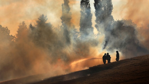 Feuerwehrleute löschen einen Feldbrand bei Rostock © dpa-Bildfunk Foto: Danny Gohlke/dpa-Zentralbild/dpa