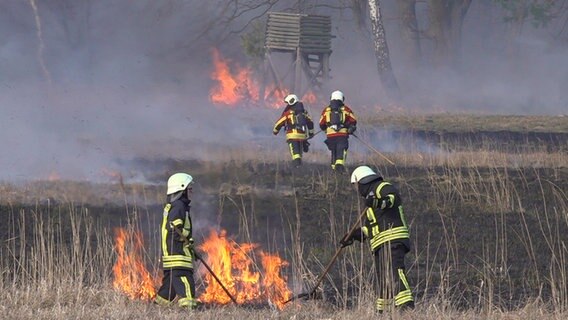 Feuerwehrleute löschen hohes Gras und Gestrüpp an einem Waldrand. Im Hintergrund brennt ein Hochstand. © Tilo Wallrodt Foto: Tilo Wallrodt