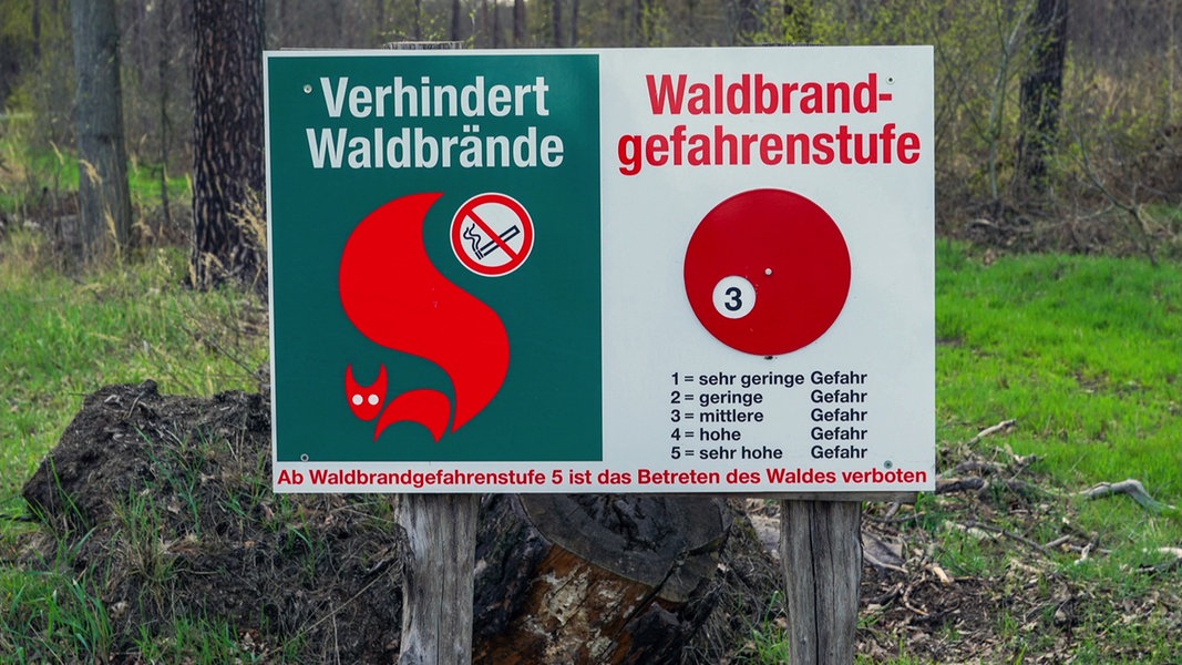 Waldbrandgefahr im Süden von Mecklenburg-Vorpommern