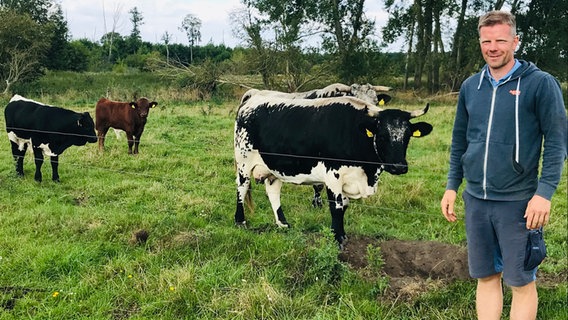 Rinder folgen einem Landwirt  Foto: Franziska Drewes